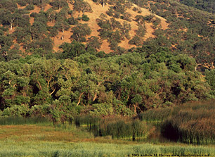 Castaic Lake