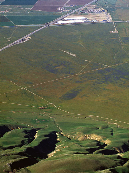 Photo of Tejon Ranch