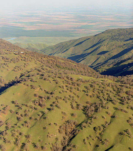 Photo of Tejon Ranch
