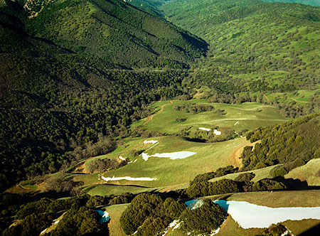 Photo of Tejon Ranch